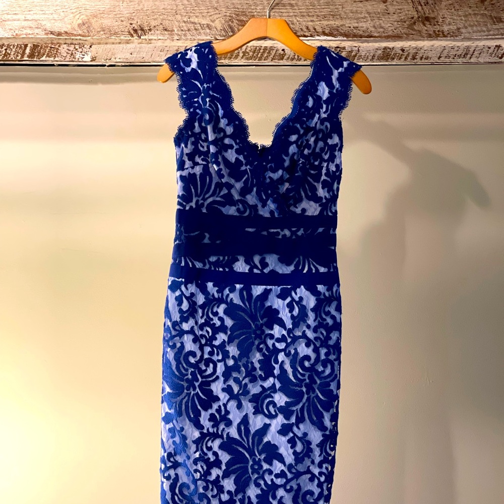 Gorgeous Tadashi Shoji Cocktail Dress